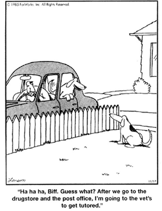 Illustration for article titled Final Farside Dose of The Day